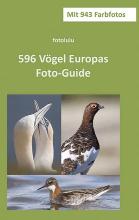 596 Vögel Europas
