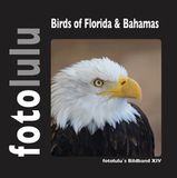 Birds of Florida Bahamas
