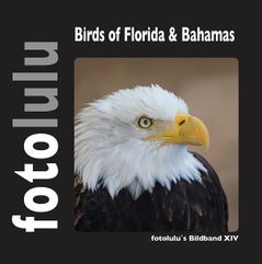 Birds of Florida Bahamas