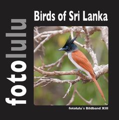 Birds of Sri Lanka