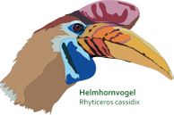 Helmhornvogel