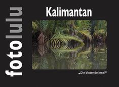 Kalimantan (Borneo)